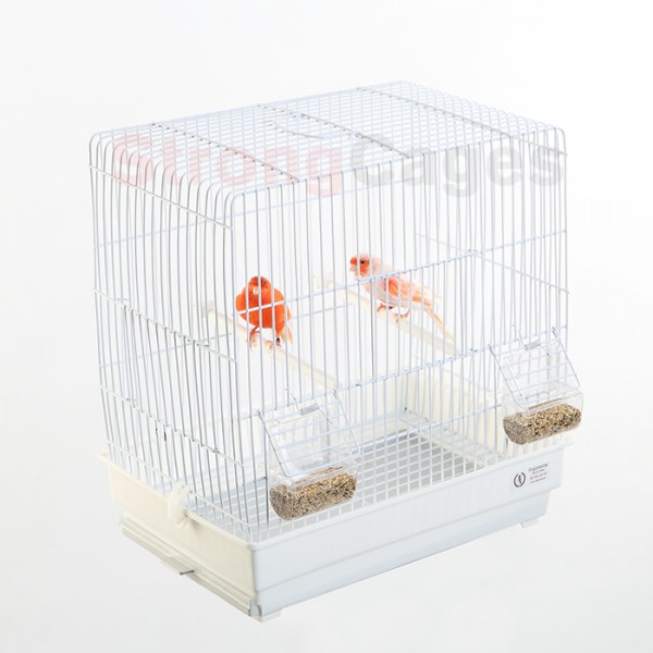 Jaula Diamante de Gould Jaula Diamante de Gould