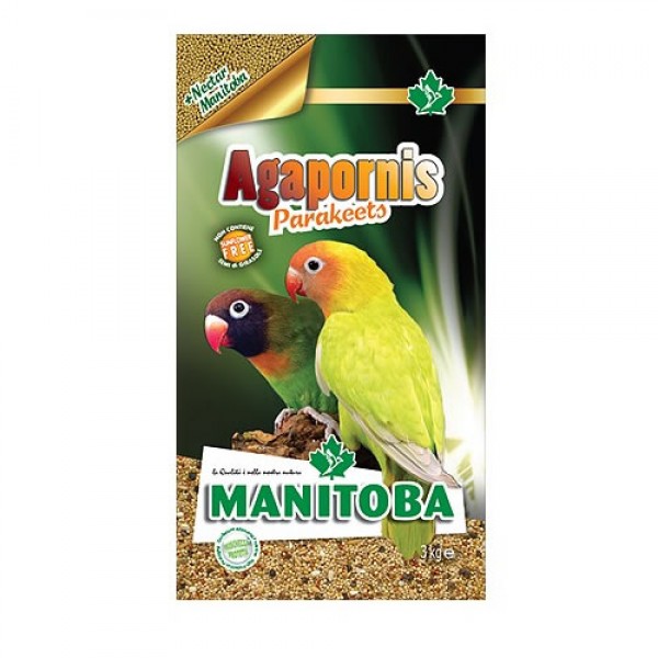 Mxt. Agapornis Mxt. Agapornis