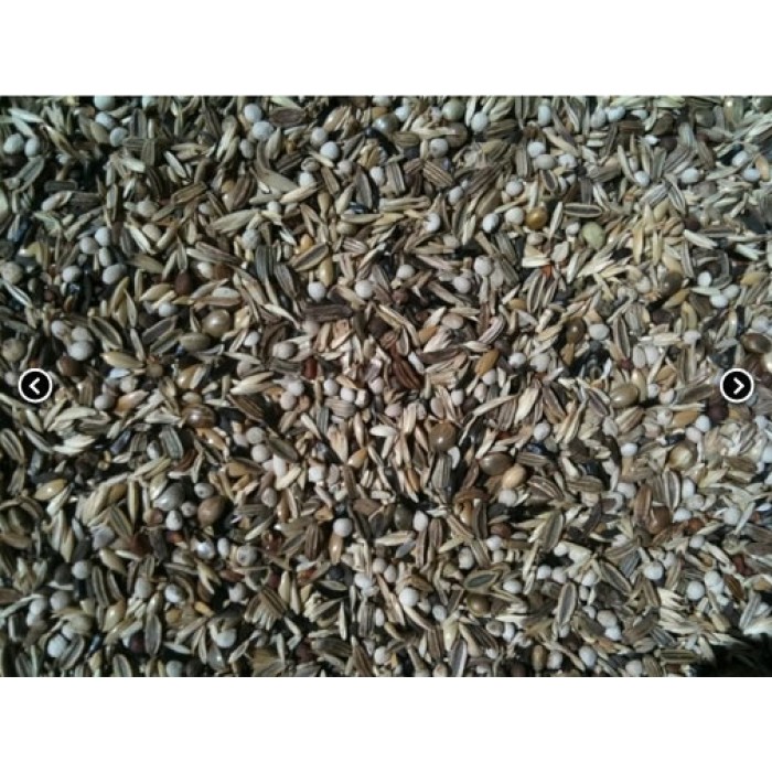 Mxt. Spinus & Spinus (Manitoba) Mxt. Spinus & Spinus (Manitoba)