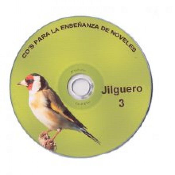 jilguero 3 jilguero 3