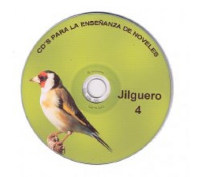 jilguero 4