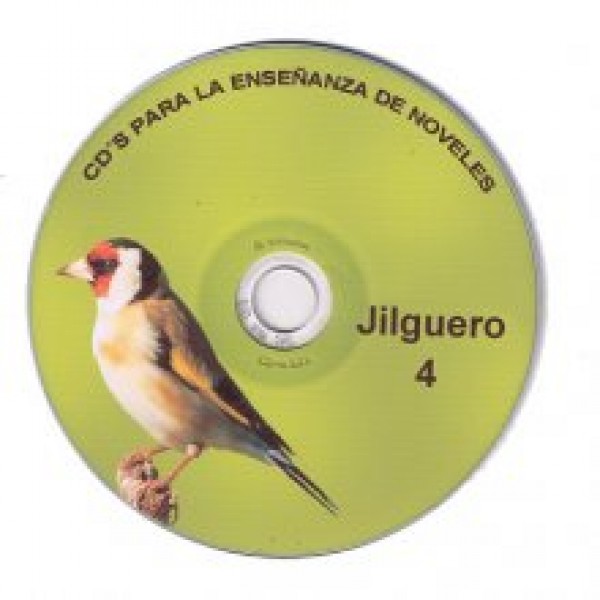jilguero 4 jilguero 4