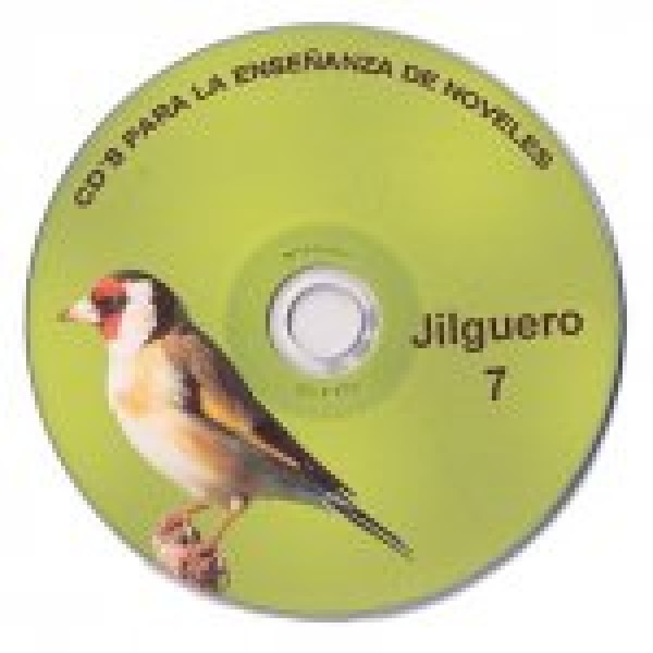 jilguero 7 jilguero 7