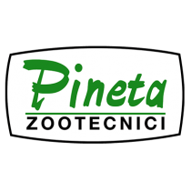 Pineta