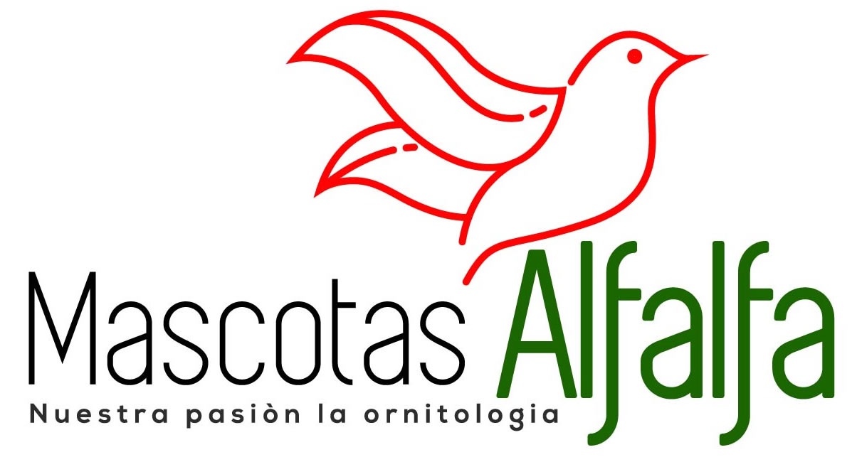 Mascotas Alfalfa
